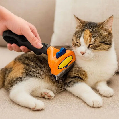 Brosse pour chat à poils courts PurFect, poignée orange et tête orange/bleue