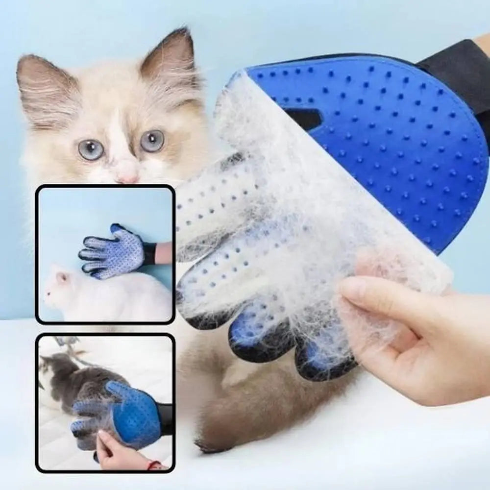 Gant-brosse pour chat bleu à picots silicone, main utilisant la brosse sur chat.