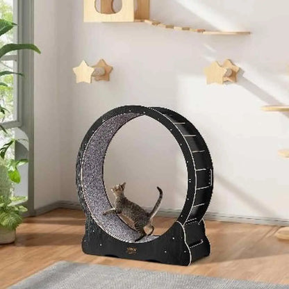Roue pour chat KittyTread™ noire, jante striée et surface à gratter, chat tigré