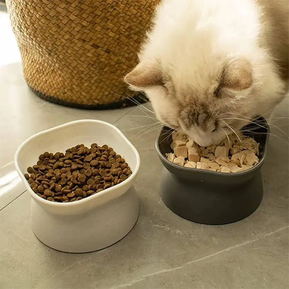 Gamelles pour chat ÉléGourmet : bol blanc pour croquettes et bol gris foncé pour l’eau