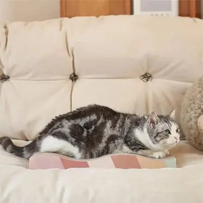 Griffoir pour chat PawComfort sur lit, chat tigré couché dessus
