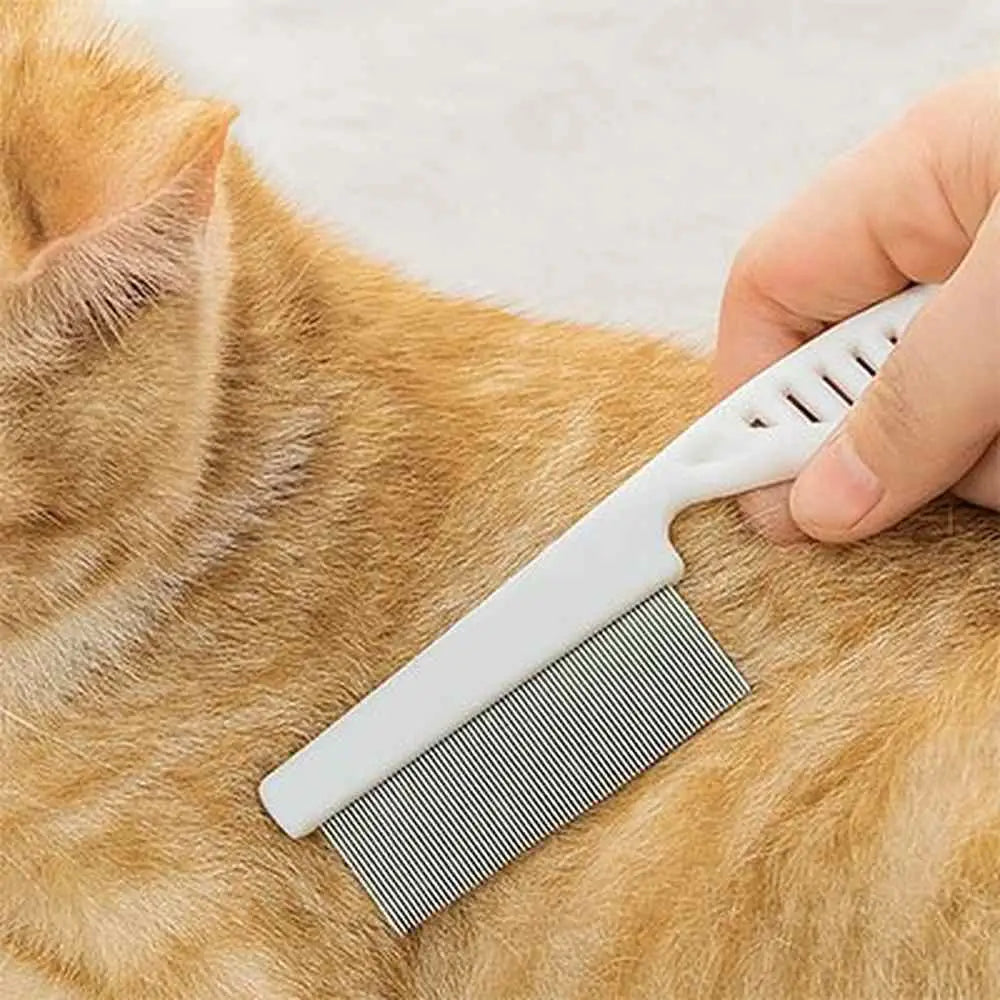 Peigne à chat anti-nœuds blanc avec dents métalliques, sur pelage roux
