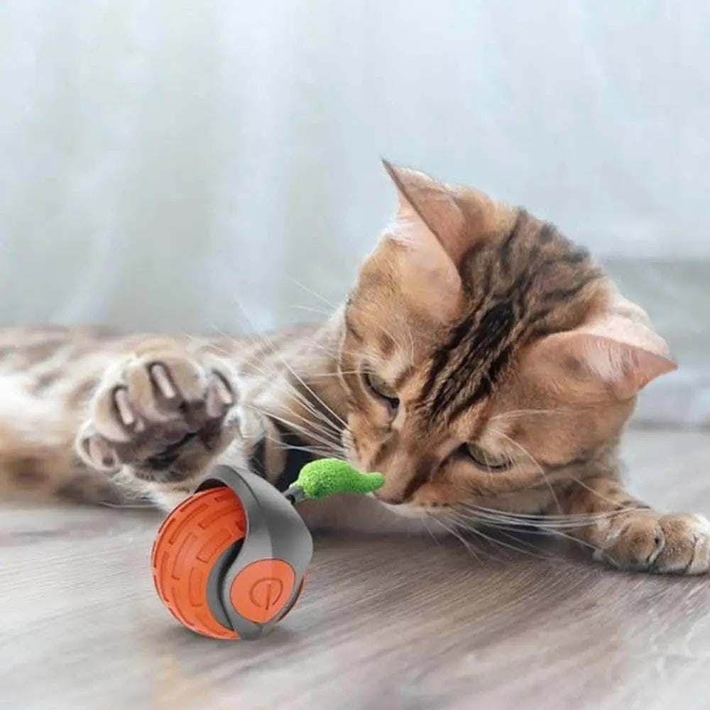 Balle interactive pour chat rouge et grise avec languette verte