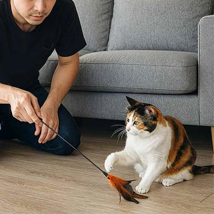 Bâton de jeu pour chat avec plume orange, tige fine noire
