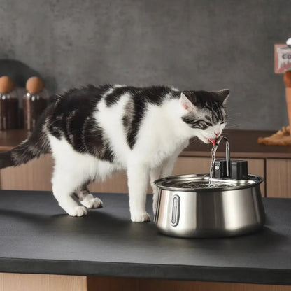 Fontaine à eau pour chat en inox, bol circulaire avec bec; chat boit