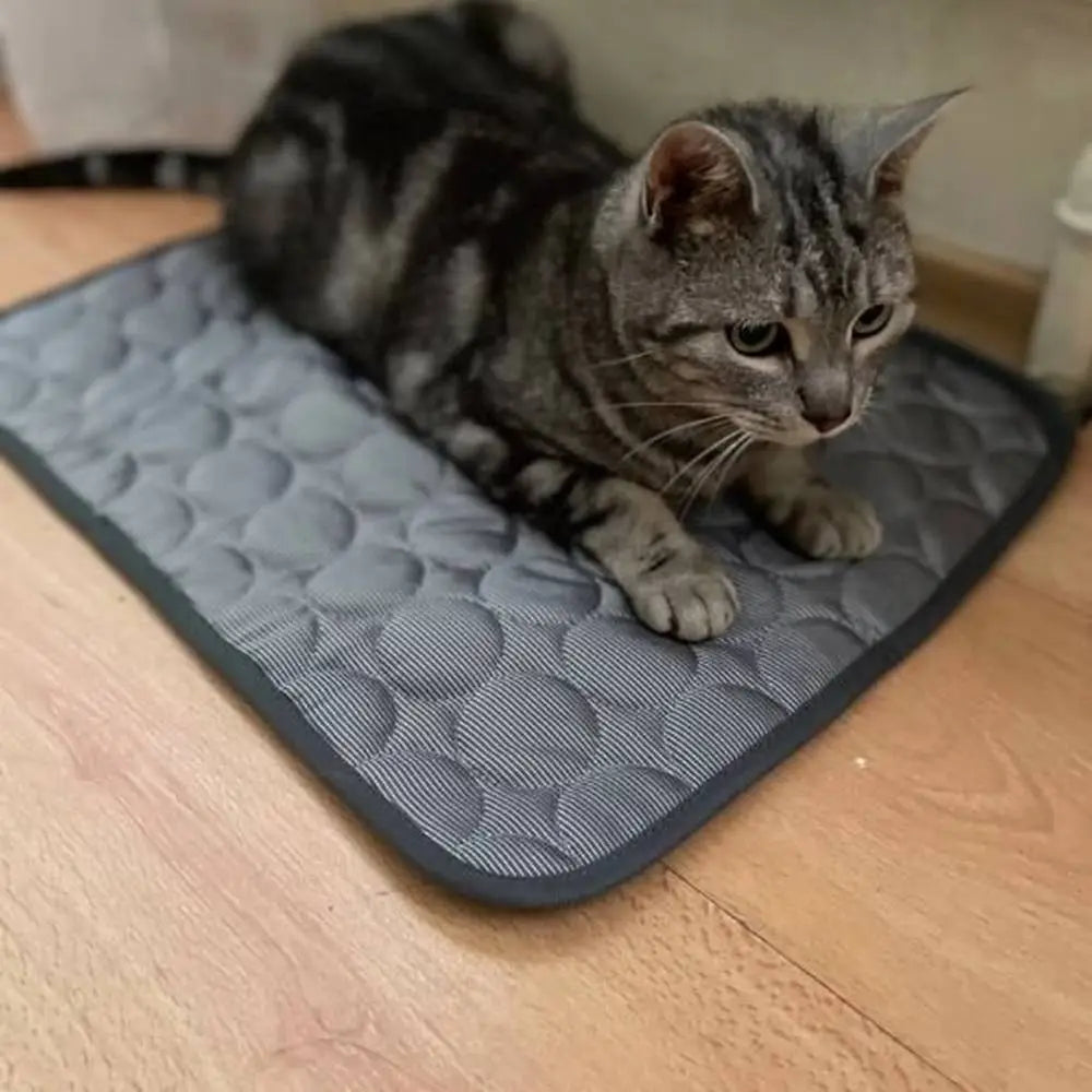 Tapis rafraîchissant pour chat gris à relief, avec chat tigré allongé.