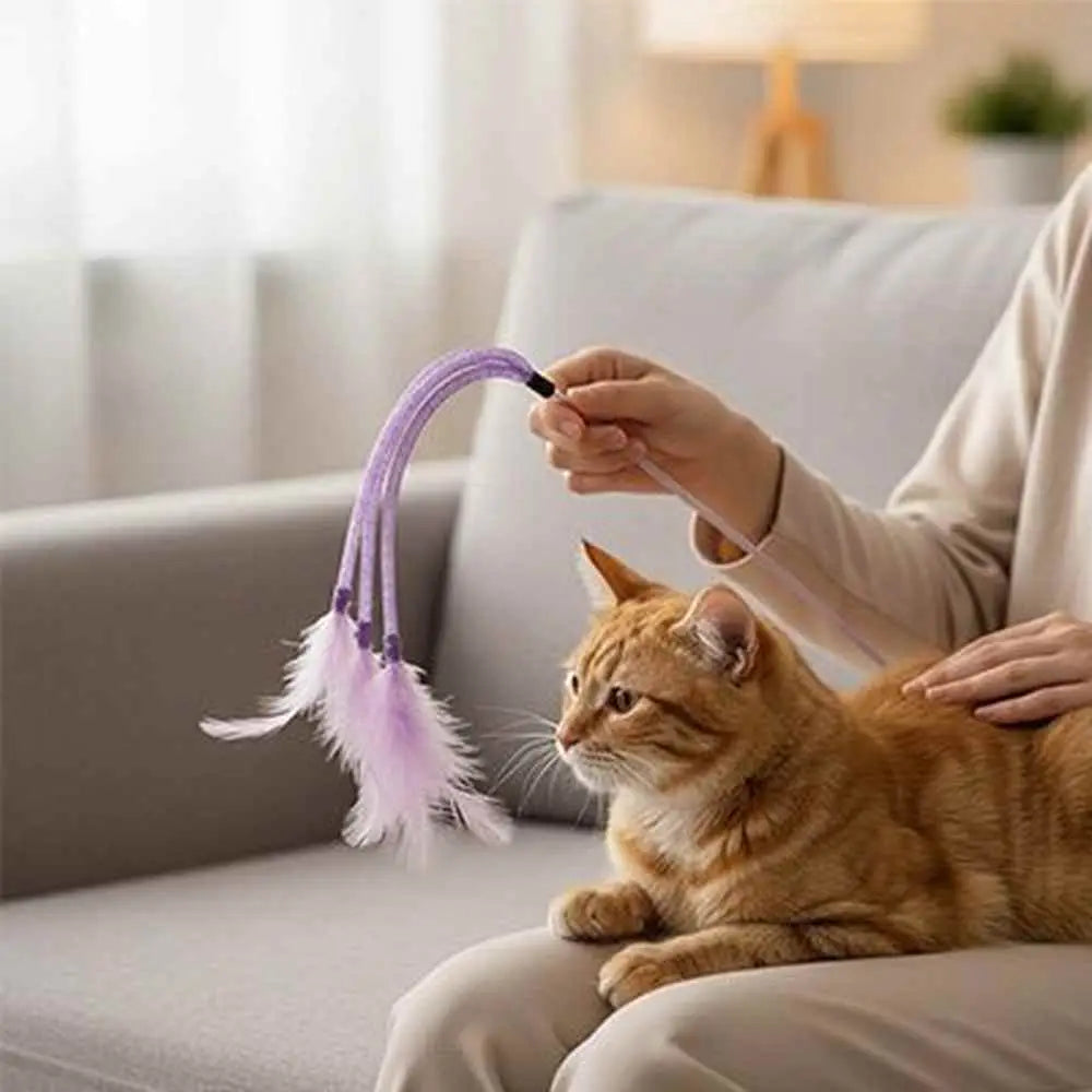 Baguette chenille pour chat : cordon violet et plume rose, chat tigré en jeu