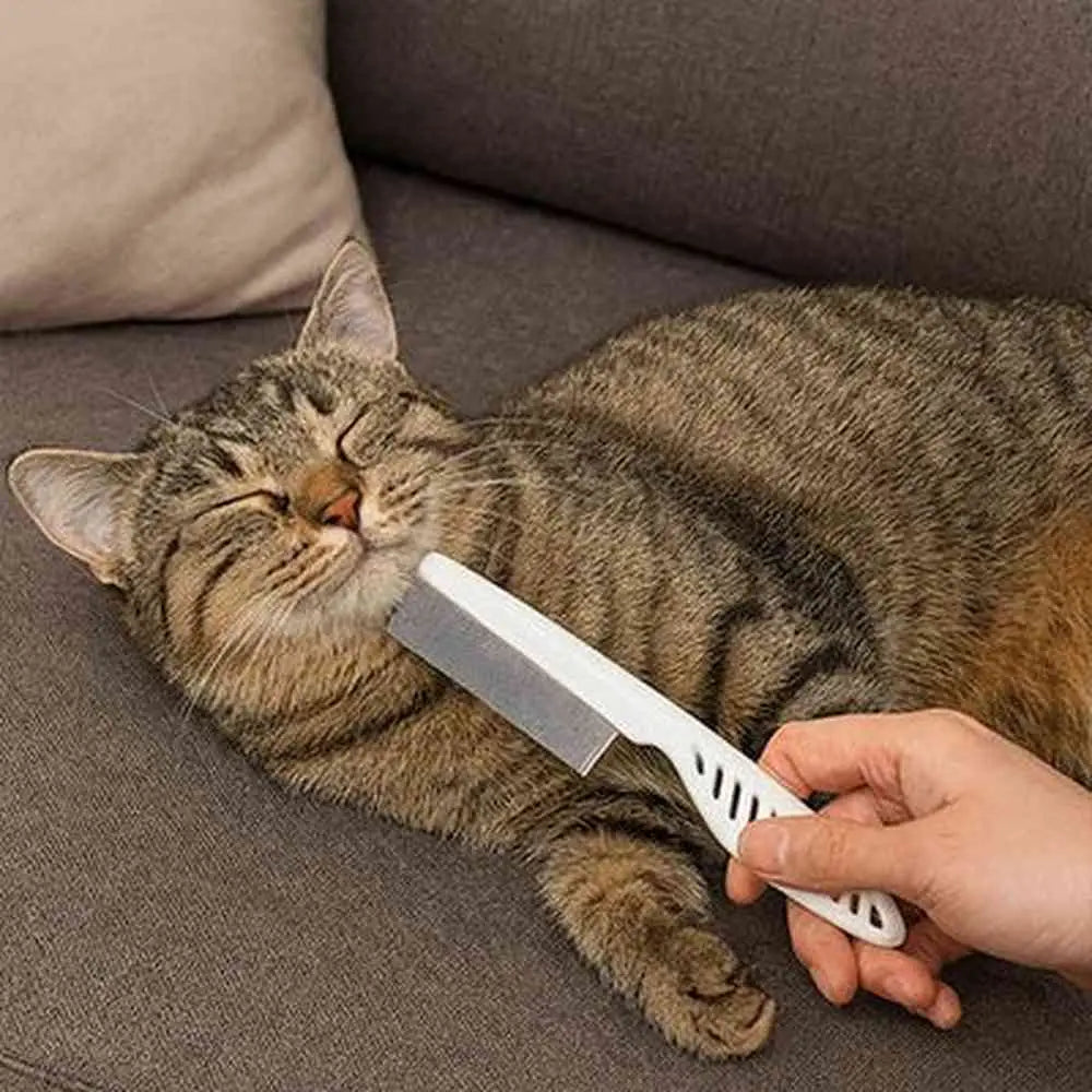Peigne à chat anti-nœuds blanc, peigne à dents pour démêler le pelage gris