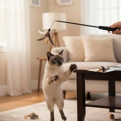 Canne à pêche pour chat, tige noire avec plume suspendue sur fil