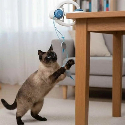 Jeu interactif pour chat sous table, ficelles bleues avec grelots, chat siamois
