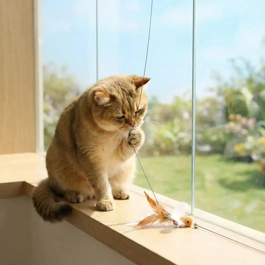 Baguette de jeu interactive pour chat avec petit oiseau plumeux sur ficelle