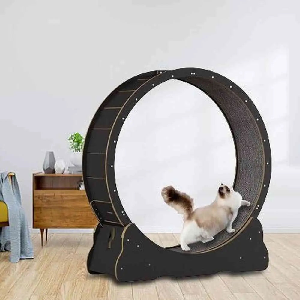 Roue pour chat KittyTread™ noire, intérieur à gratter, chat blanc tigré à l’intérieur