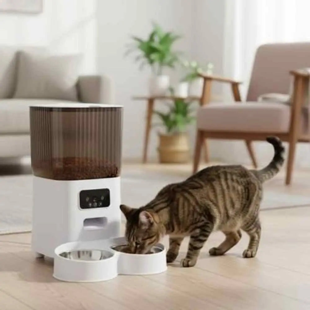 Distributeur de croquettes pour chat AutoFeeder blanc; chat tigré mange dans une gamelle