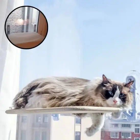Hamac chat fenêtre UltraCozy, coussin beige; chat tigré sur la plateforme