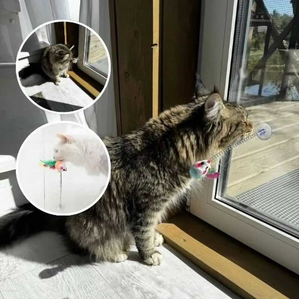 Jouet pour chat : tige ressort avec ventouse et souris en peluche, plumes colorées près d’une fenêtre.