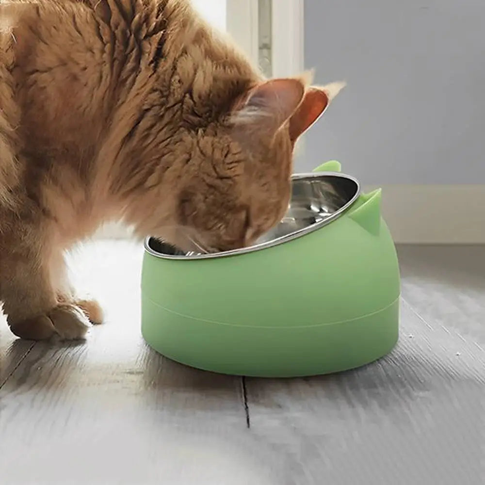 Gamelle pour chat ergonomique verte avec bol intérieur en acier inoxydable.