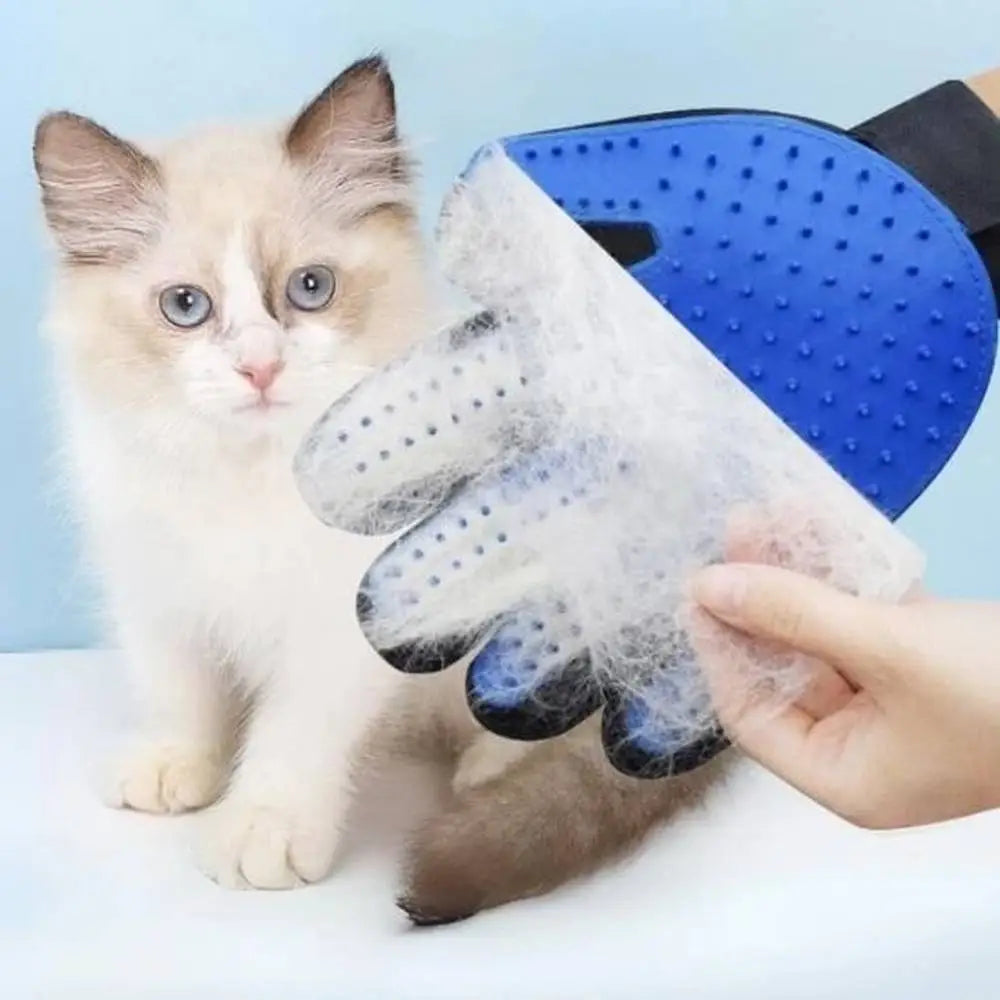 Gant-brosse pour chat bleu à picots silicone, sangle noire, main tenant la brosse.