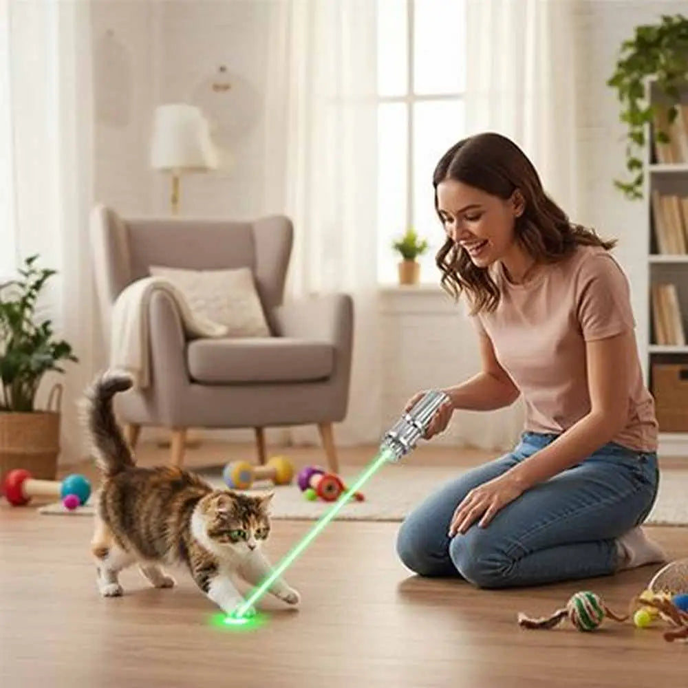 Jouet interactif pour chat : lanceur laser à main, faisceau vert vers le chat