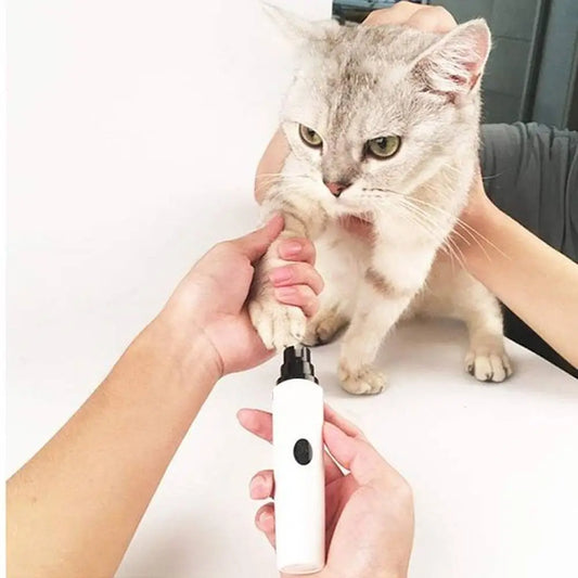 Coupe-griffes pour chat ProfeSécur blanc, embout noir près des griffes d’un chat clair