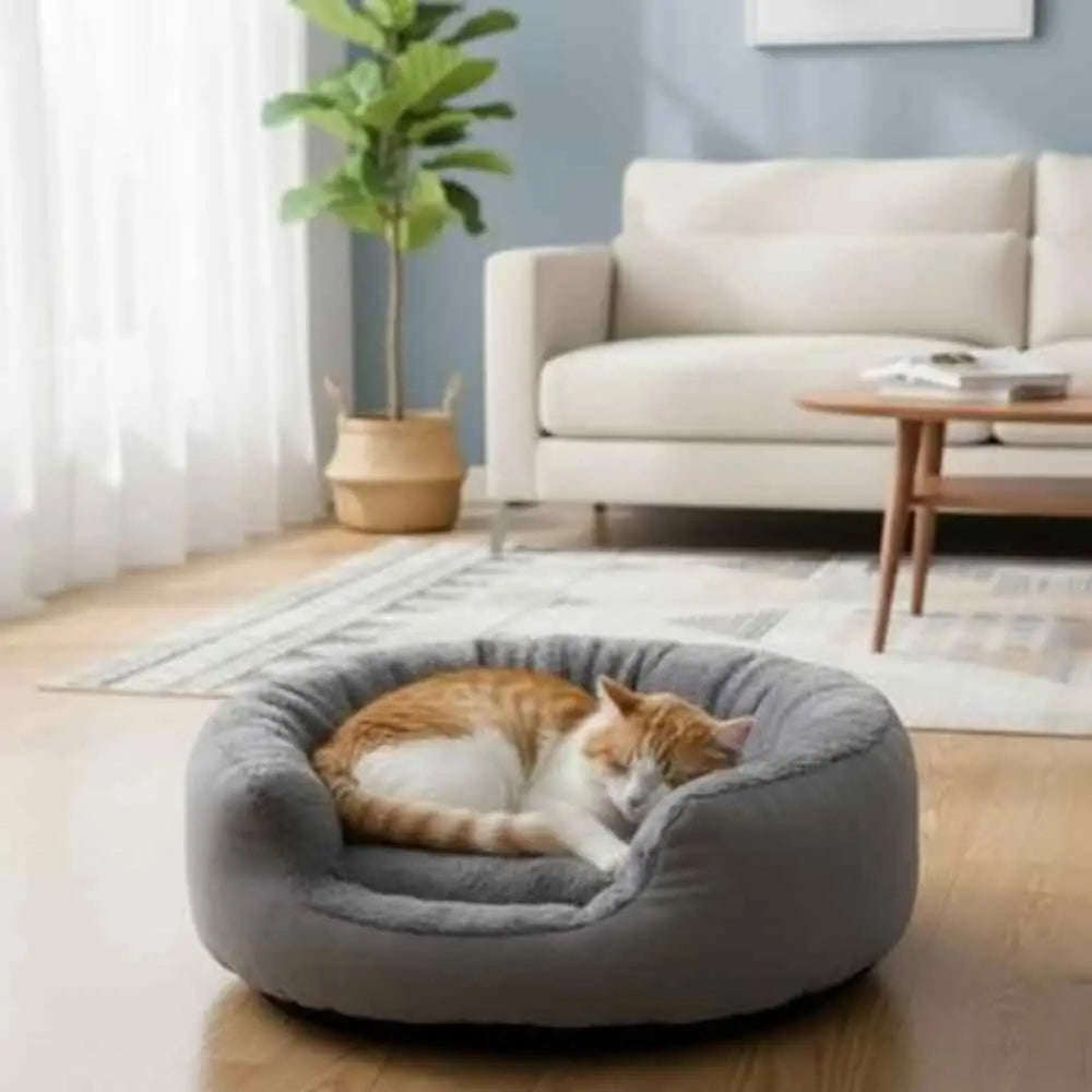 Panier pour chat Cozy Elegance gris, coussin clair; chat roux et blanc recroquevillé.