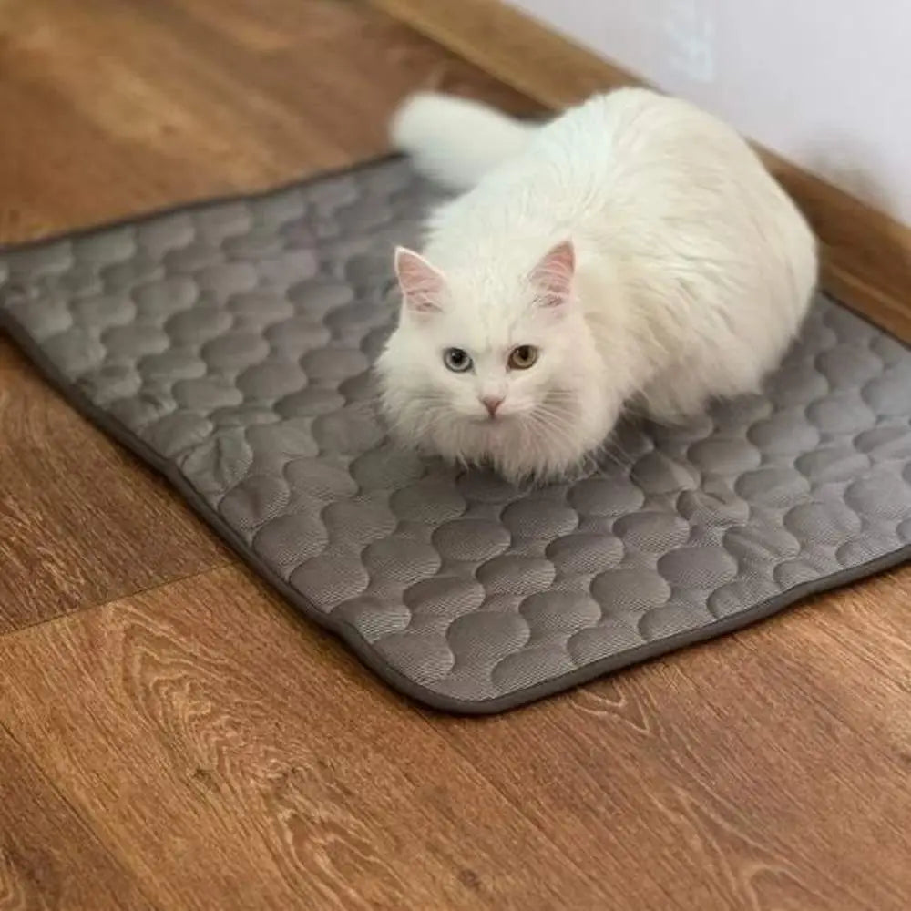 Tapis rafraîchissant pour chat gris à relief, avec chat blanc allongé.