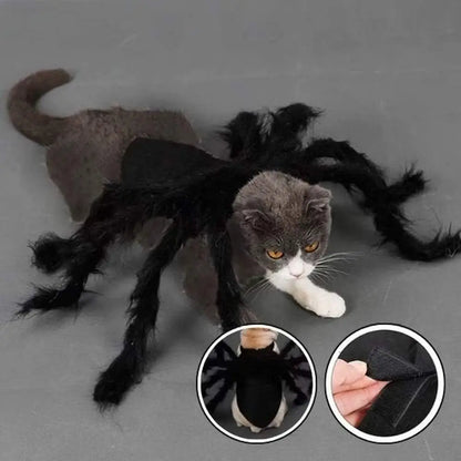 Déguisement pour chat noir à pattes d’araignée duveteuses, sur le corps.