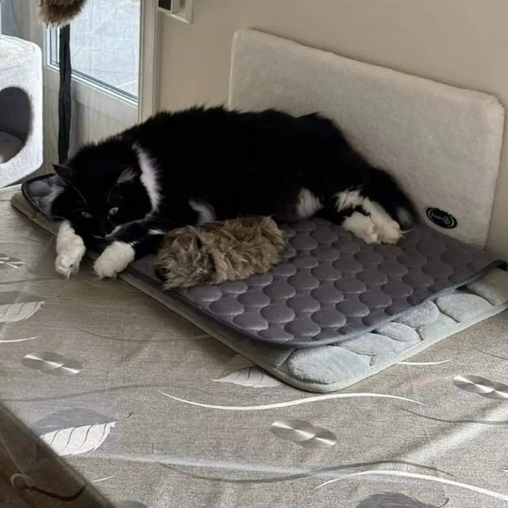 Tapis rafraîchissant pour chat gris foncé à relief, avec chat noir et blanc.