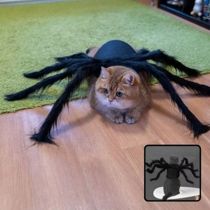 Déguisement pour chat noir à pattes d’araignée en tissu duveteux, vue d’ensemble.