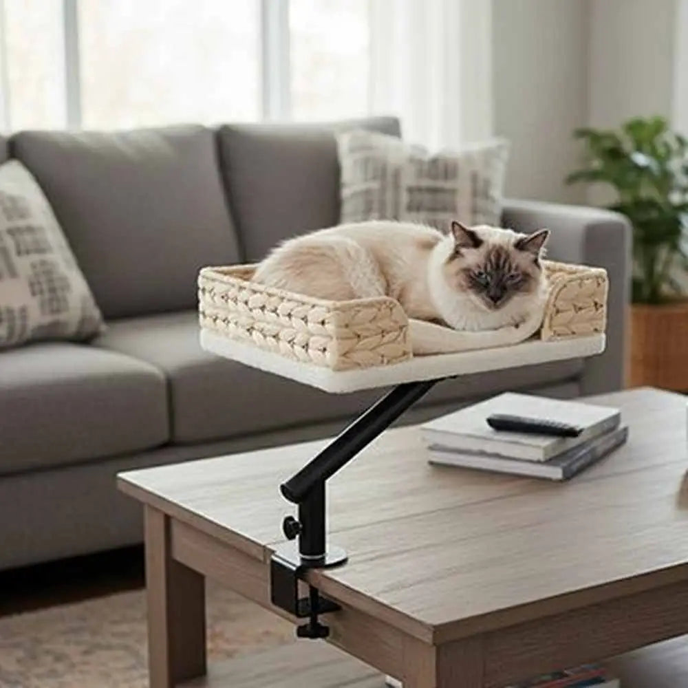 Panier pour chat tressé beige avec coussin clair, chat couché
