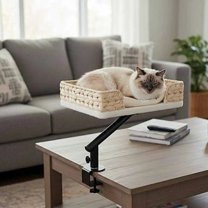 Panier pour chat tressé beige avec coussin clair, chat couché