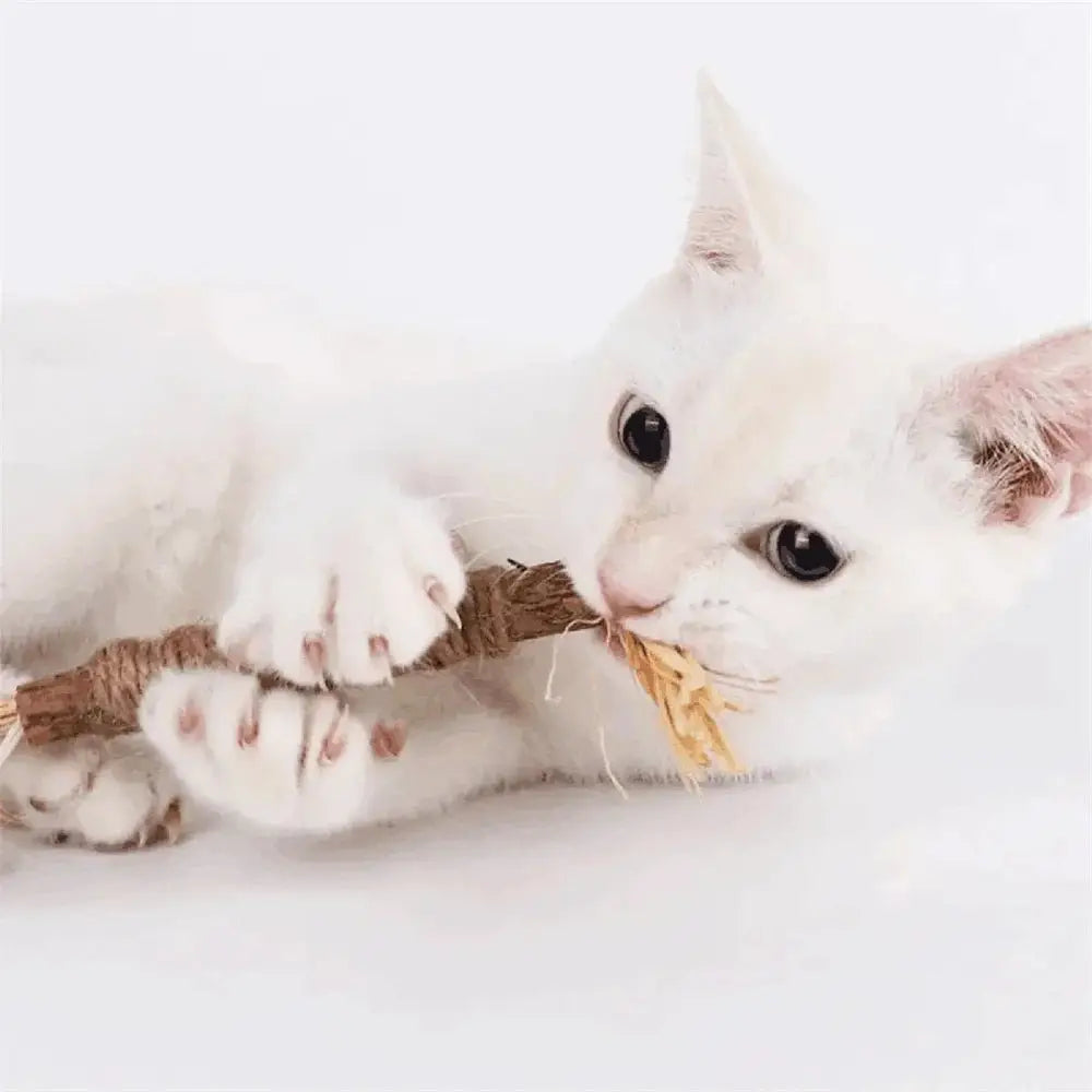 Bâton à mâcher PurrStick™ en corde beige, tenu par un chat blanc.
