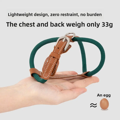 Harnais pour chat compact en corde verte et cuir marron, présenté à la main