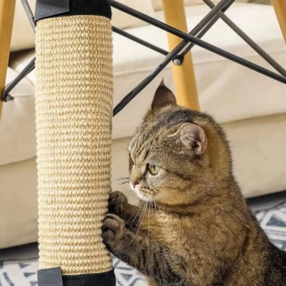 Griffoir pour chat en sisal beige, embouts noirs, chat tigré griffant le poteau
