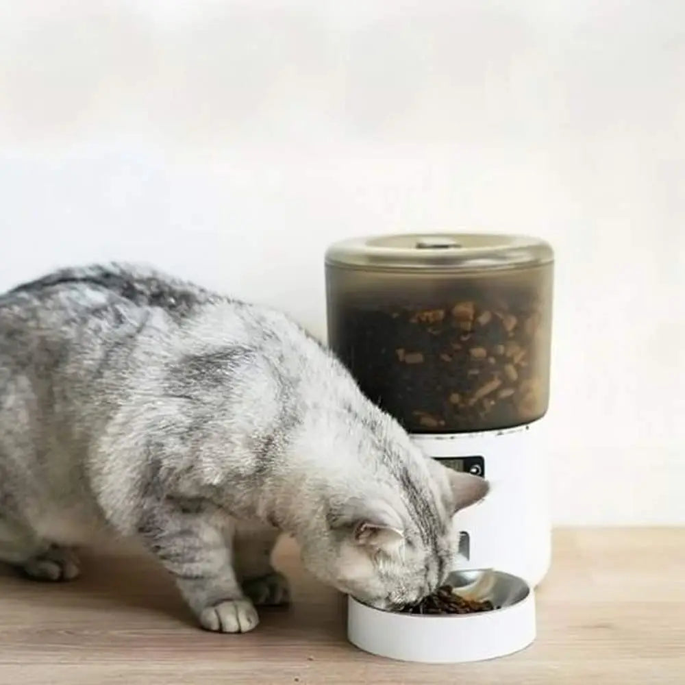 Distributeur automatique de croquettes pour chat FéliTimer blanc, bol rempli de croquettes