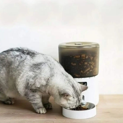 Distributeur automatique de croquettes pour chat FéliTimer blanc, bol rempli de croquettes