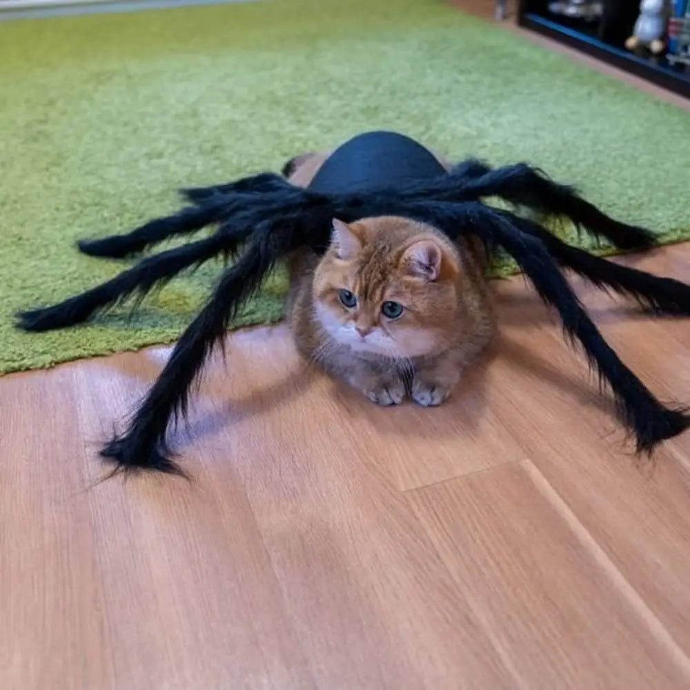 Déguisement pour chat à pattes d’araignée noires et serre-tête en tissu.