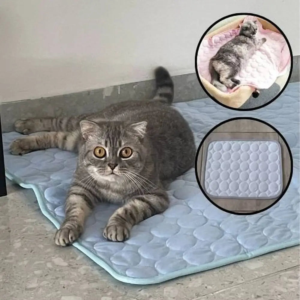 Tapis rafraîchissant pour chat gris clair à relief, avec chat tigré couché.