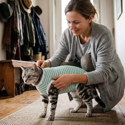 Body post-opératoire pour chat à rayures vert d’eau, encolure et emmanchures