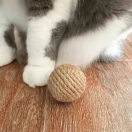 Balle pour chat en corde tressée beige, saisie par des pattes blanches et grises