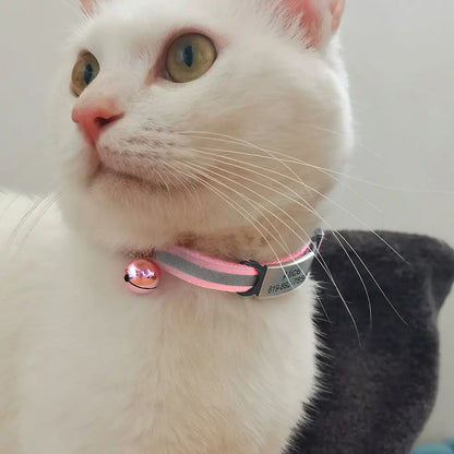 Collier chat rose avec clochette et plaque gravée visible de près