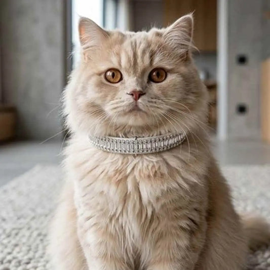 Collier chat argenté à strass et perles, rangée de pierres sur le tour du cou.