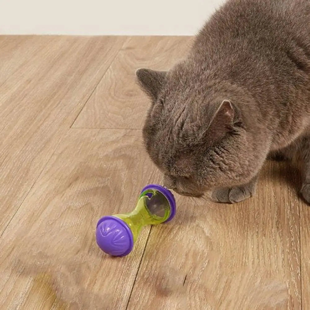 Jouet pour chat Instinct Félin bouteille verte translucide aux embouts violets sur parquet