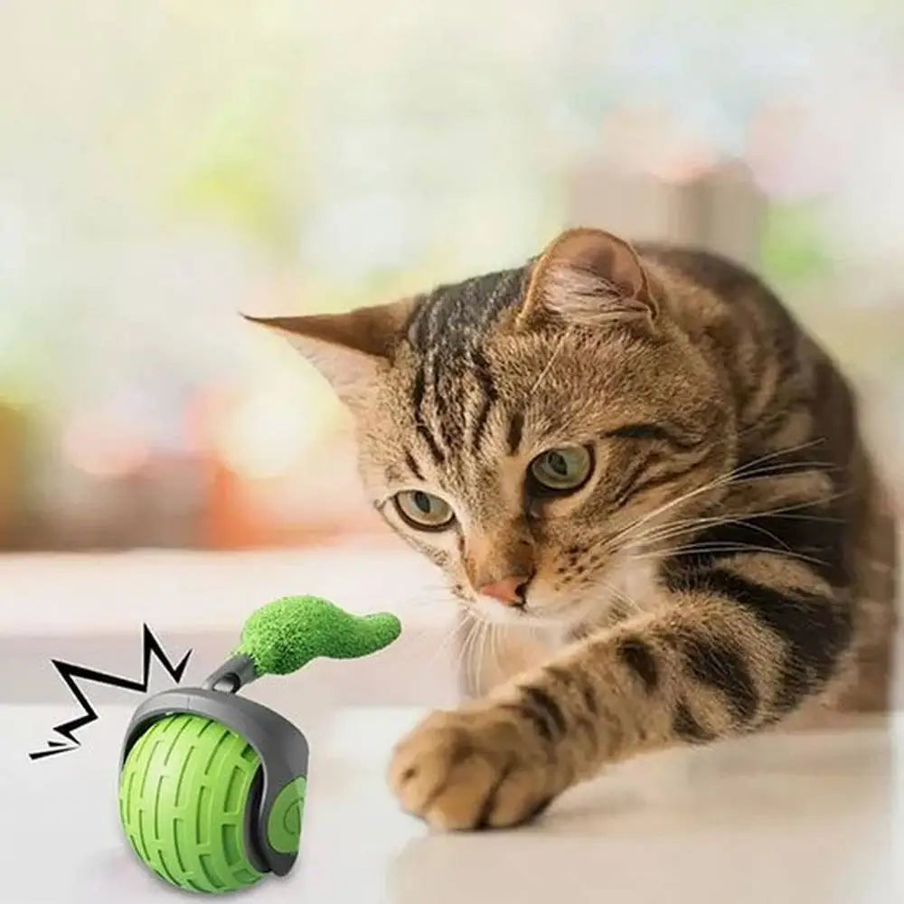 Balle interactive pour chat verte avec coque grise et languette verte