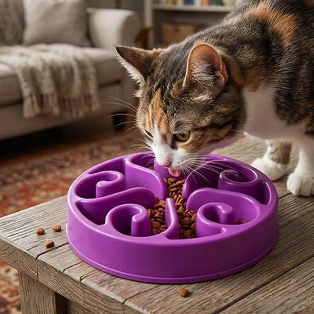 Gamelle anti-glouton pour chat violette à compartiments en spirale