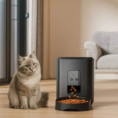 Distributeur de croquettes pour chat gris foncé avec ouverture vitrée centrale