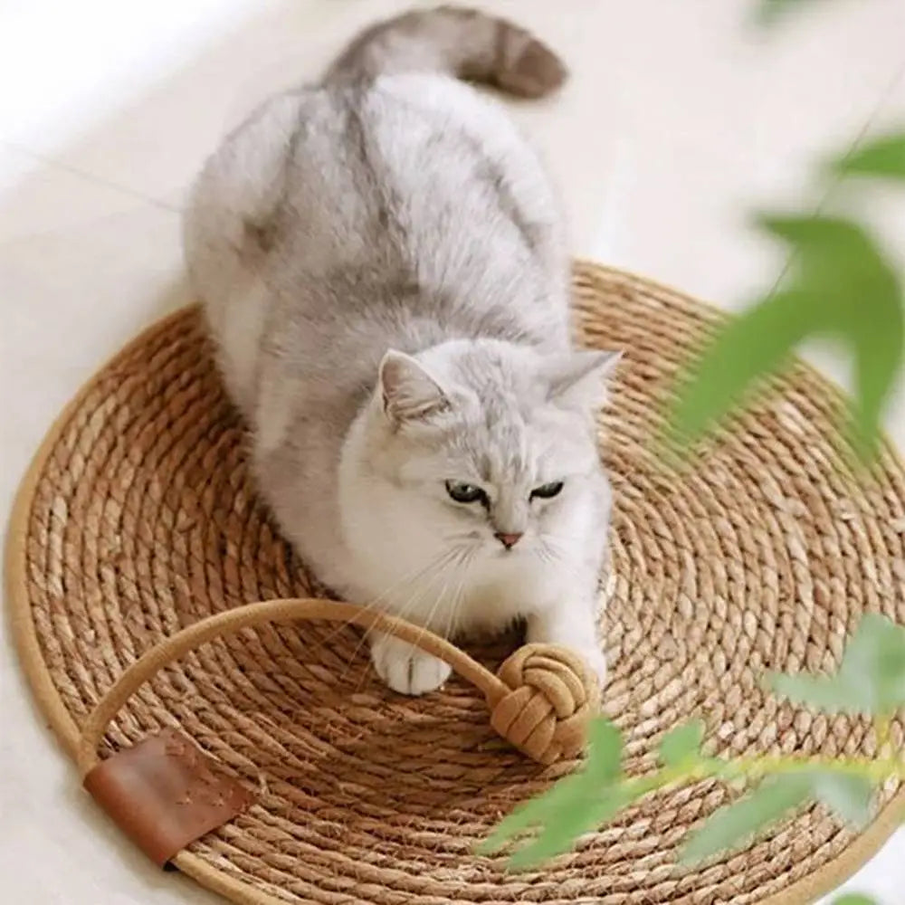 Tapis griffoir rond en sisal beige avec corde, chat blanc assis