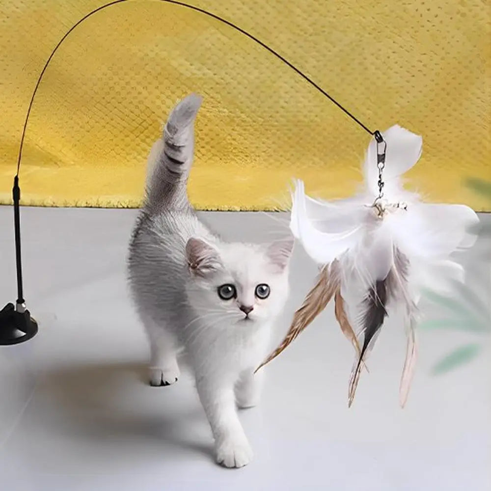 Baguette de jeu interactive pour chat avec oiseau blanc à plumes, suspendu par chaîne
