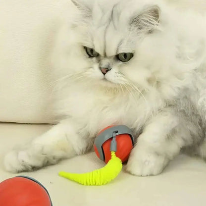 Jouet interactif pour chat: balle orange et tige vert-jaune brossée sous les pattes