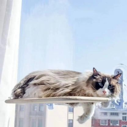 Hamac chat fenêtre UltraCozy avec coussin beige; chat tigré gris allongé