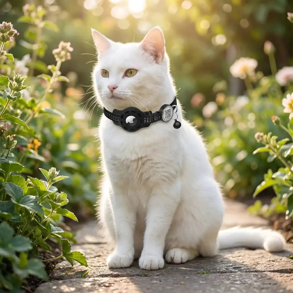 Collier pour chat noir avec support AirTag intégré et clochette